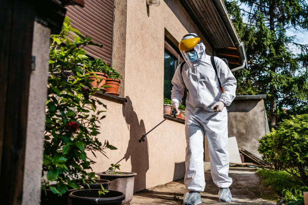 Best Mosquito Control Services  in Avilla, IN