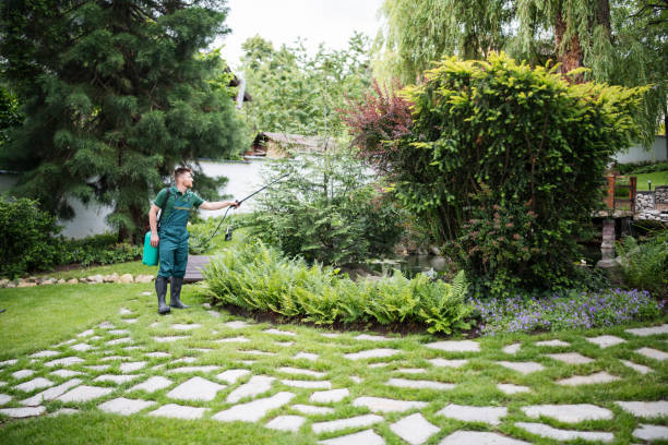 Best Wildlife Control Services  in Avilla, IN