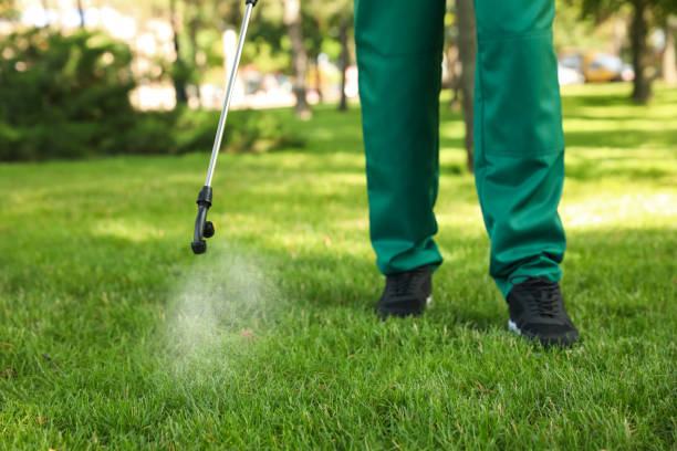Best Commercial Pest Control Services  in Avilla, IN