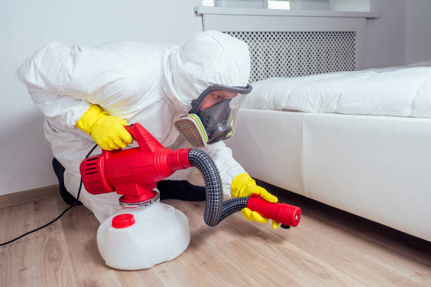 Flea Control Services in Avilla, IN