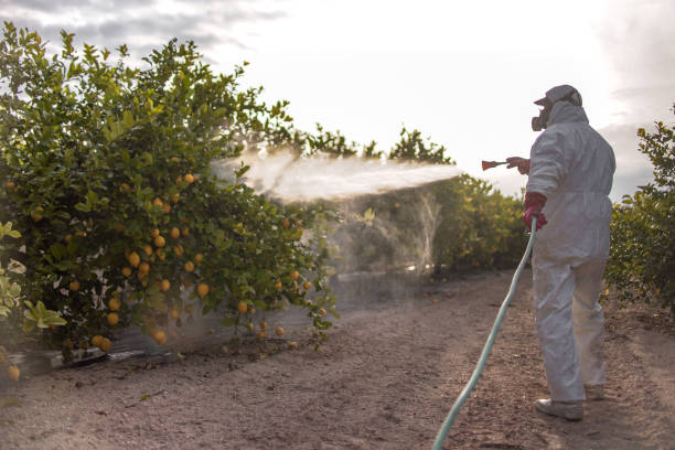 Best Mosquito Control Services  in Avilla, IN