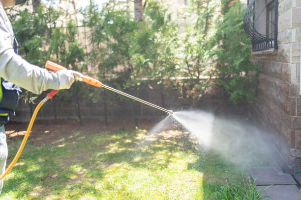 Best Best Pest Control Companies  in Avilla, IN