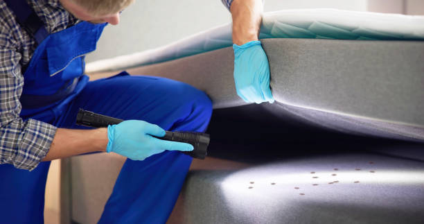 Best Best Pest Control Companies  in Avilla, IN