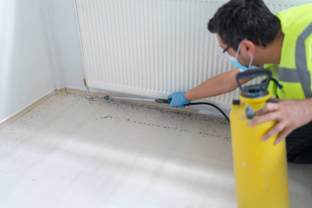 Best Local Pest Control Services  in Avilla, IN